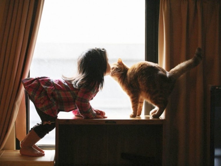 Девушка с котом на подоконнике