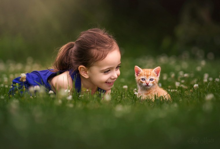 Suzy Mead фотограф