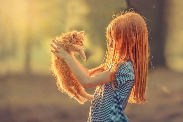 Девочка с рыжим котом