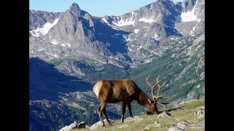 Канадские скалистые горы Канада