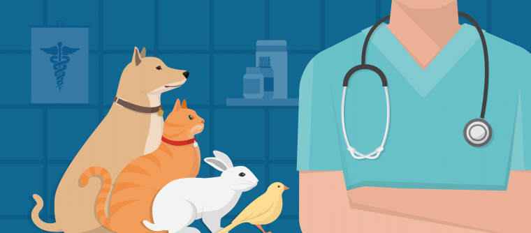 Ветеринария для детей