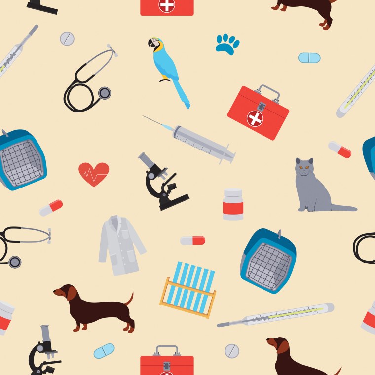 Шаблоны для ветеринарной клиники