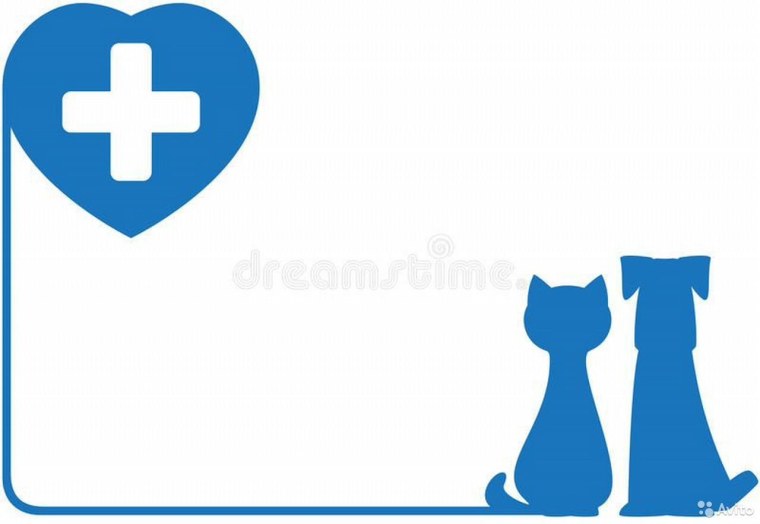 Ветеринар иллюстрация