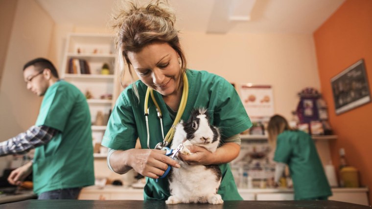 Эмблема ветеринара