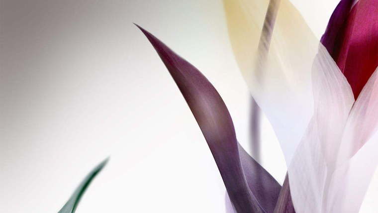 Динамические обои Samsung