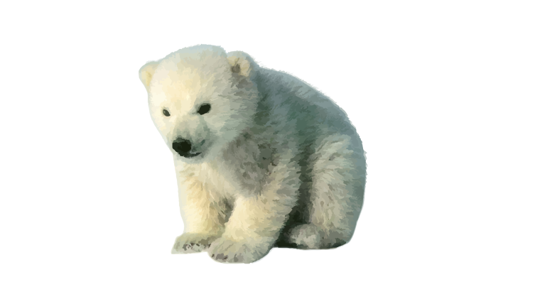 Белый медведь