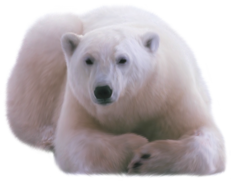 Белый медведь Умка