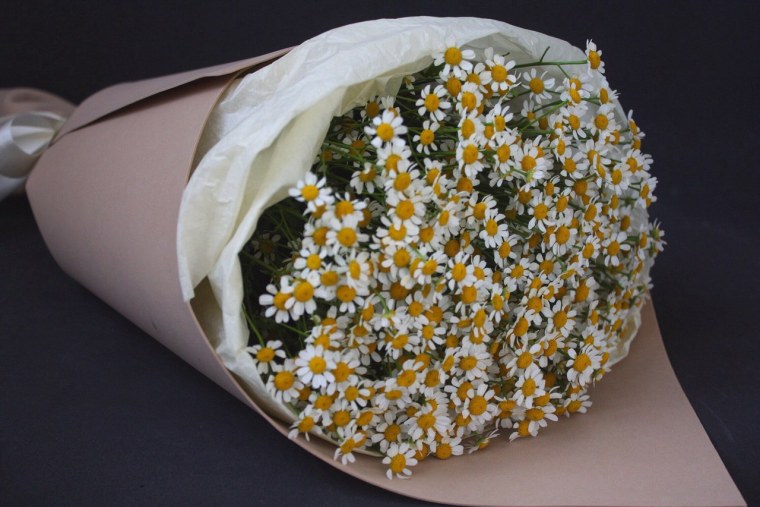 Крупные ромашки