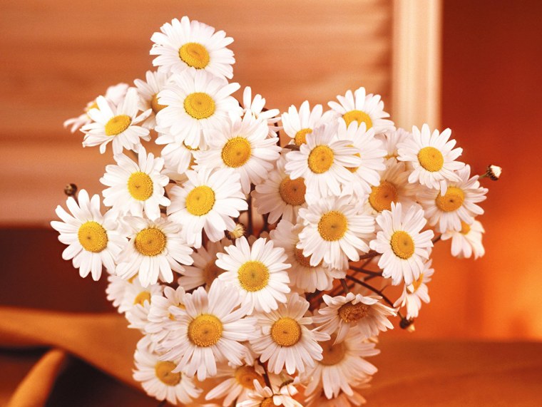 Букет ромашек