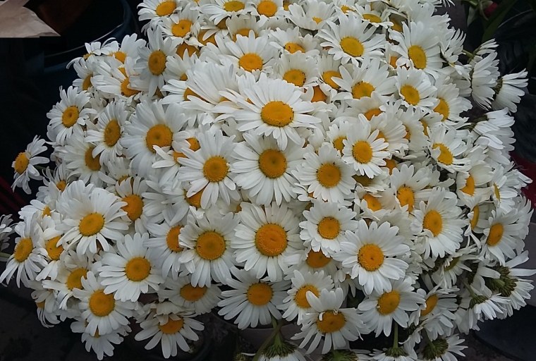 Шикарный букет ромашек