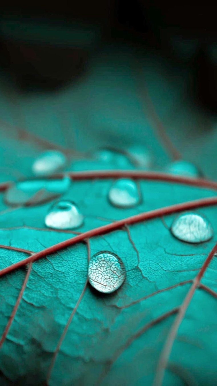 Фон для компьютера