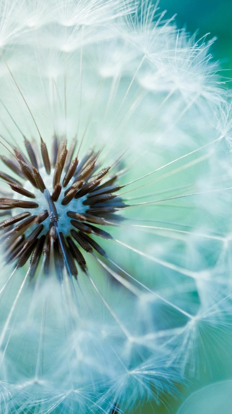 Разноцветные капли