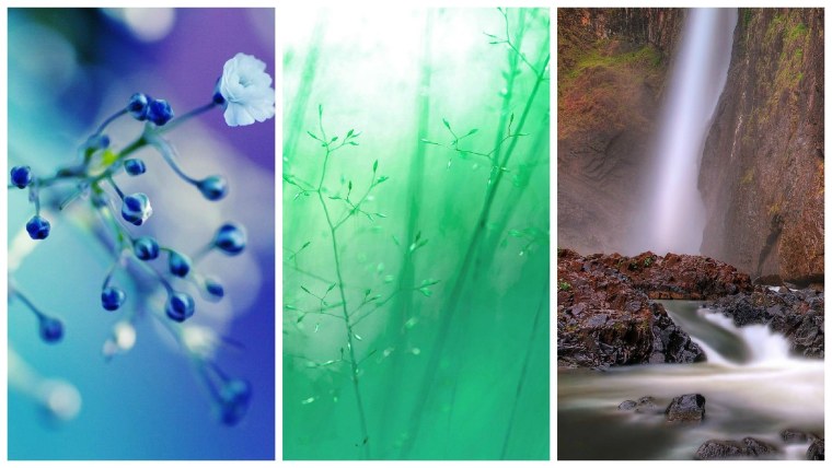 Обои на рабочий стол Apple