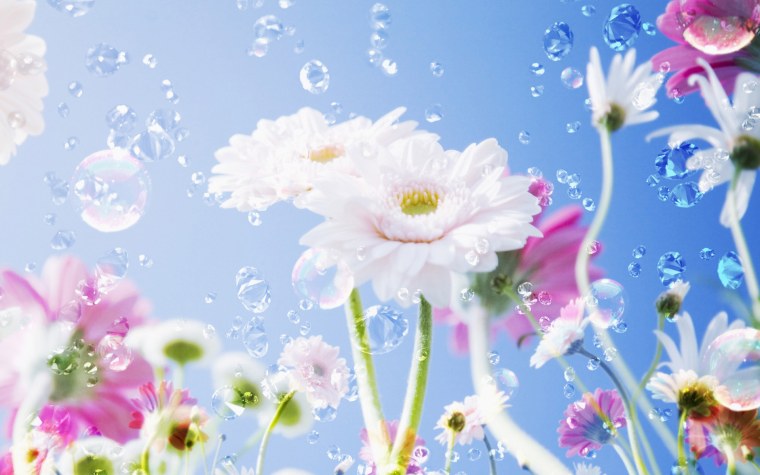 Красивые картинки