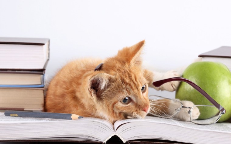 Интересные карандаши