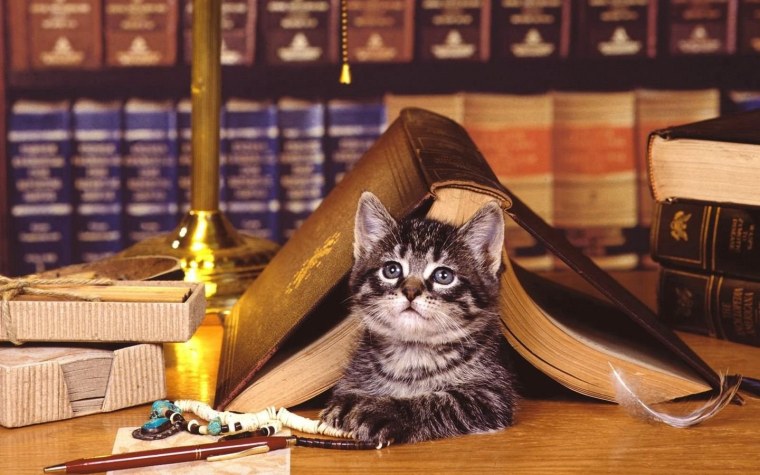 Школьный фон для презентации