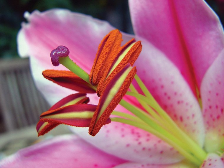 Тычинки 203-04, 2 шт.