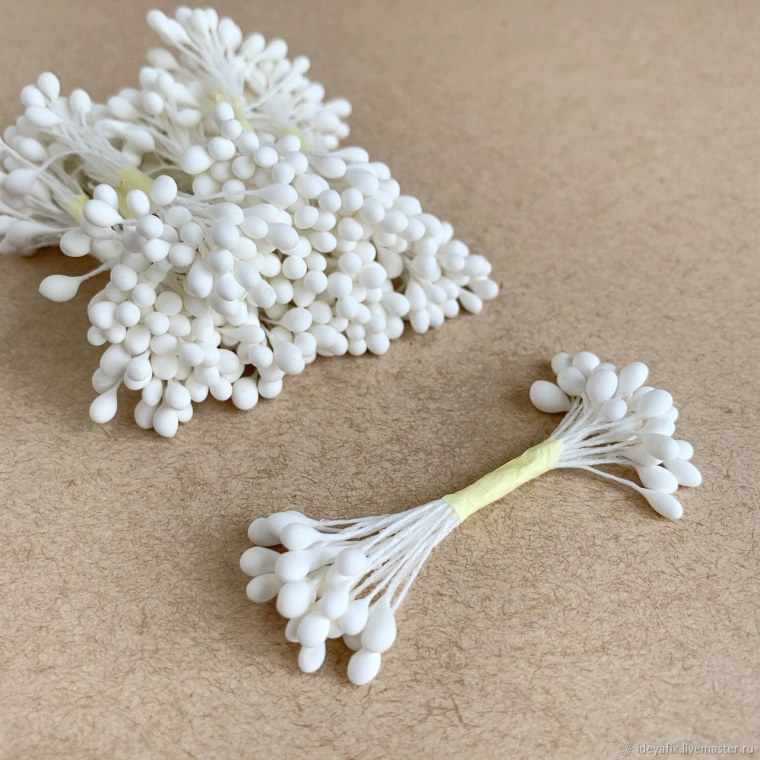 Тычинка крупным планом