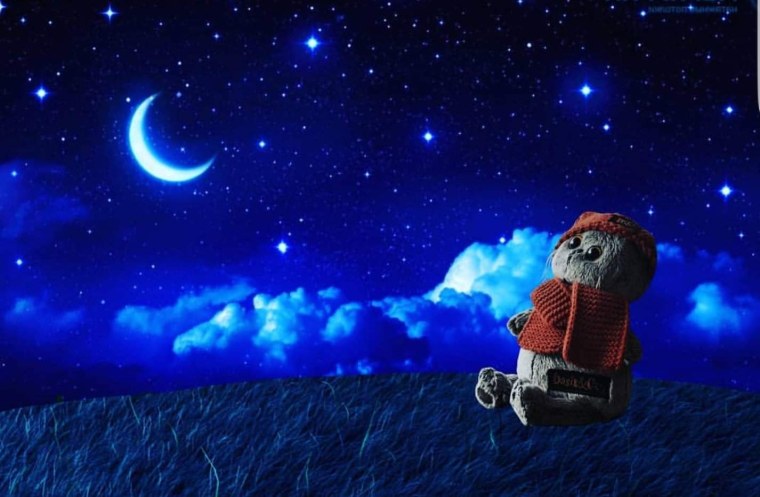 Спокойной ночи Басик