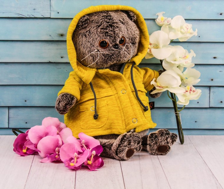 С днём рождения с Басиком