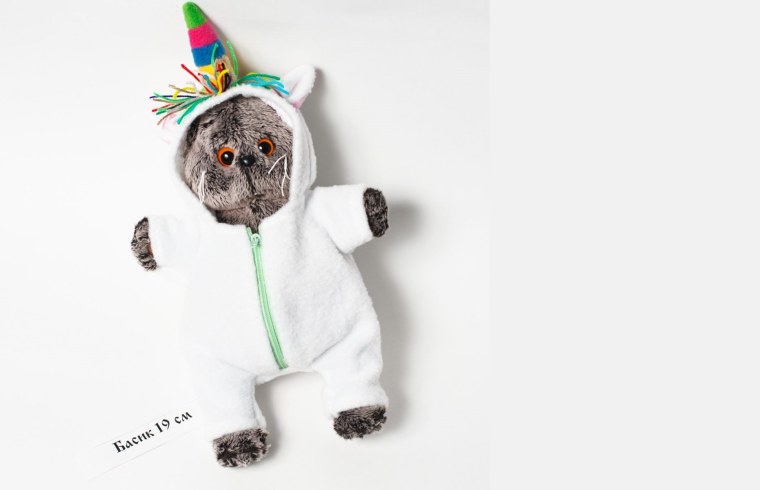 Фон с котиками