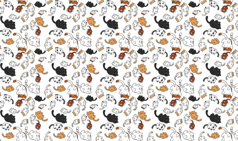 Басик охотник схема