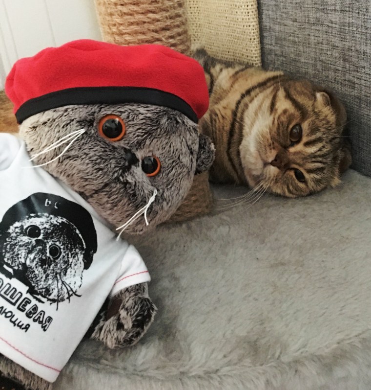 Басик бариста 30см