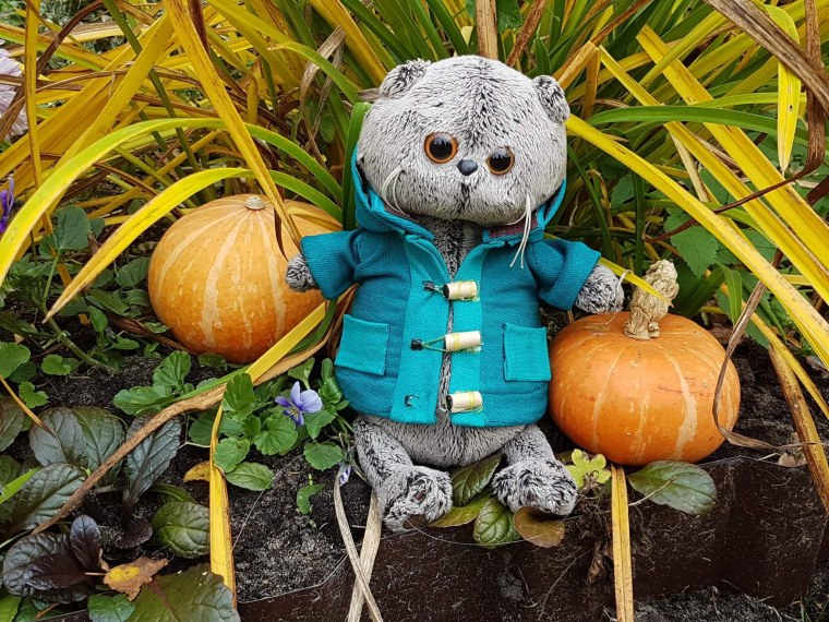 Маленькие басики игрушки