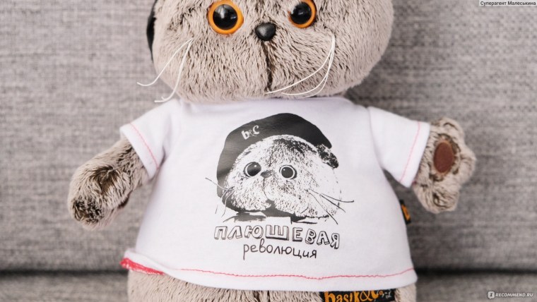 Кот Басик революционер