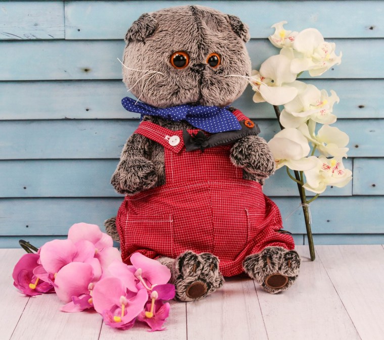 Кот Басик фото