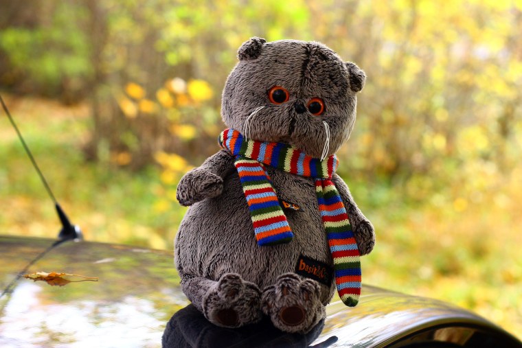 Кот Басик картина по номерам