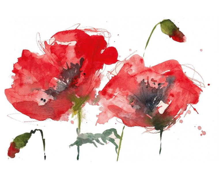 Цветок Мак акварелью