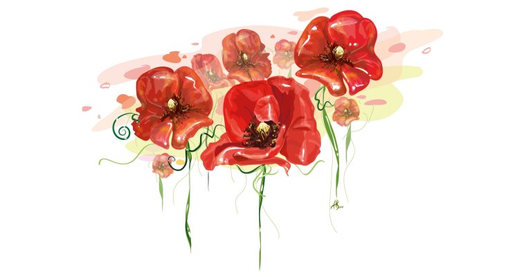 Мак на белом фоне