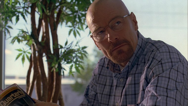 Walter White 1998