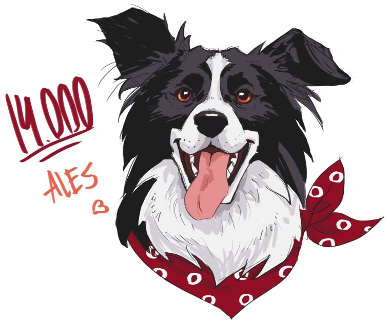 Бордер колли с банданой