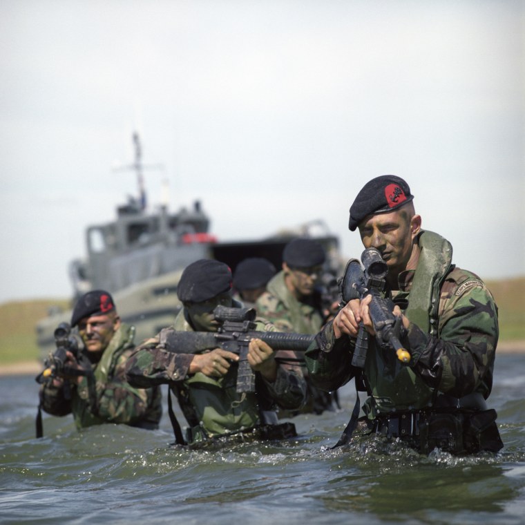 Войска морской пехоты