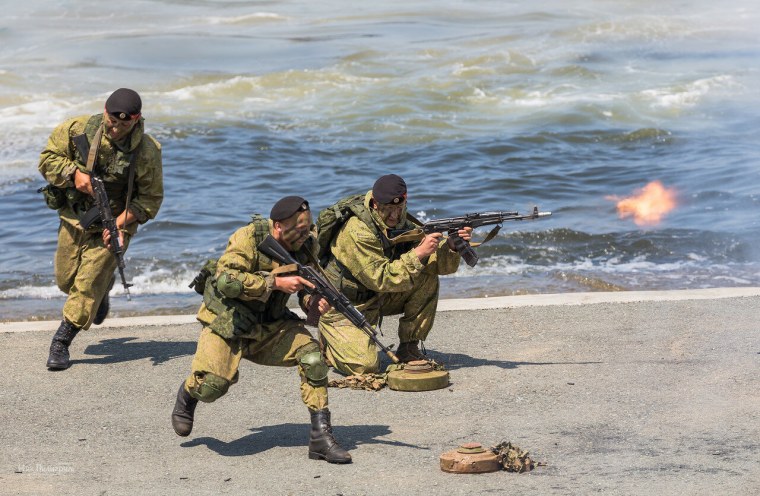 Морская пехота БФ