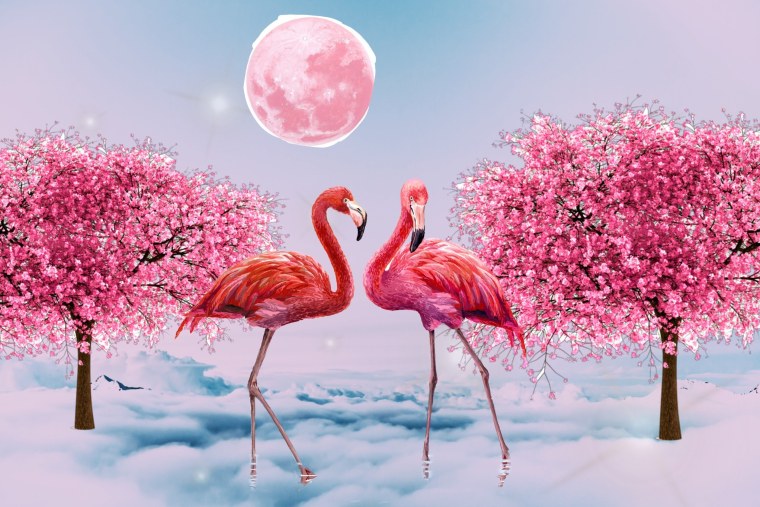 Салар де Уюни Фламинго