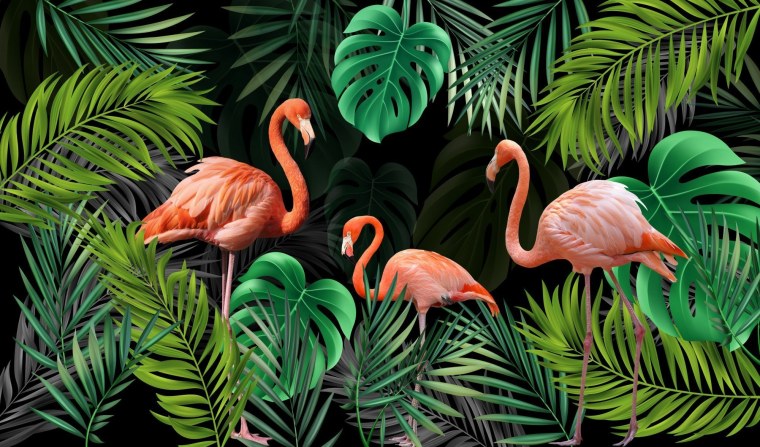 Андский Фламинго