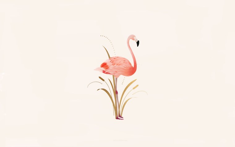 Розовый Фламинго