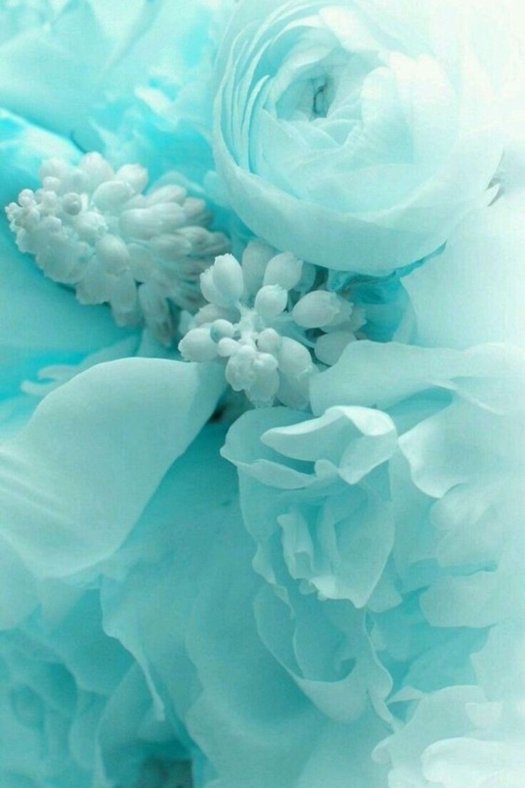 Мятный цвет