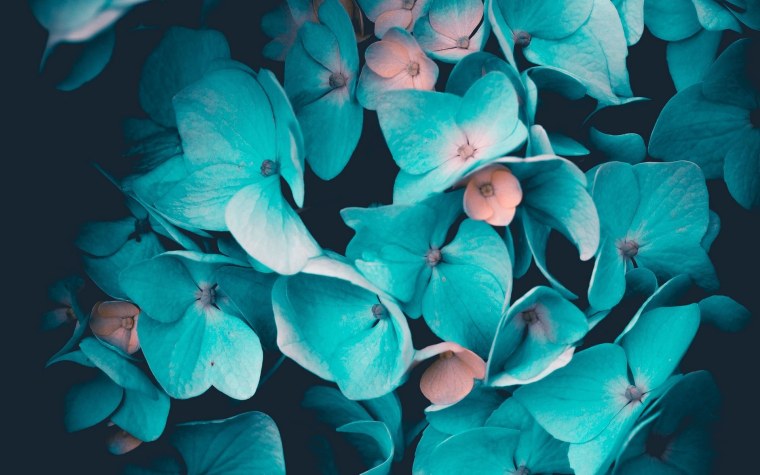 Краска в воде