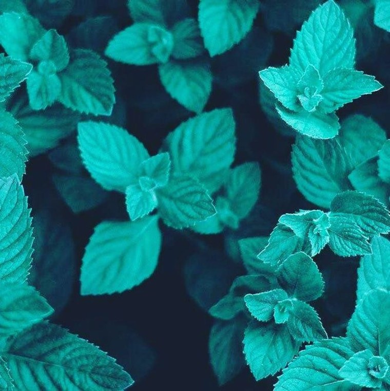 Минимализм в мятном цвете