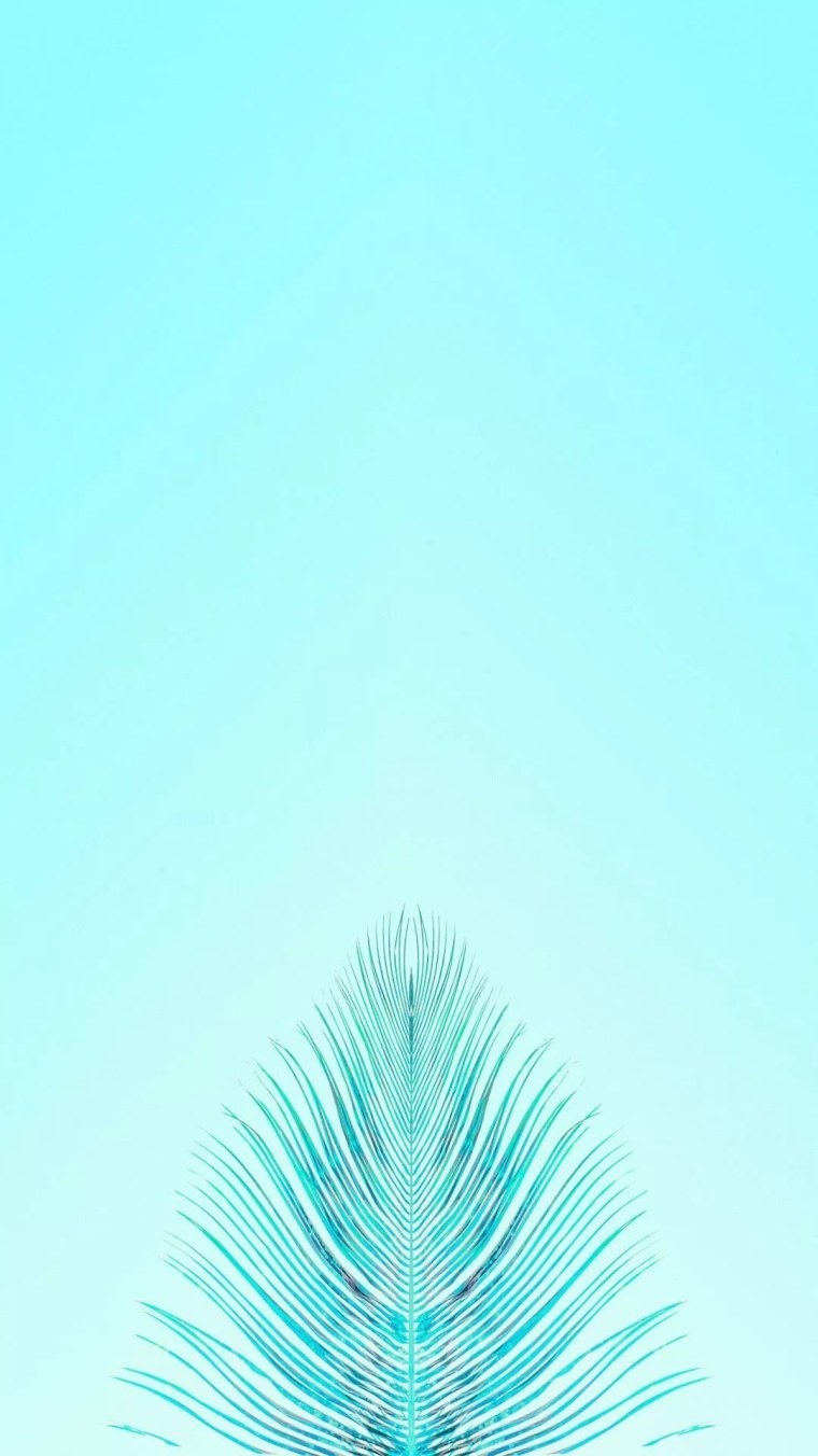 Зеленая вода