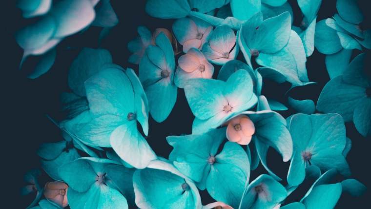 Мятно розовый фон