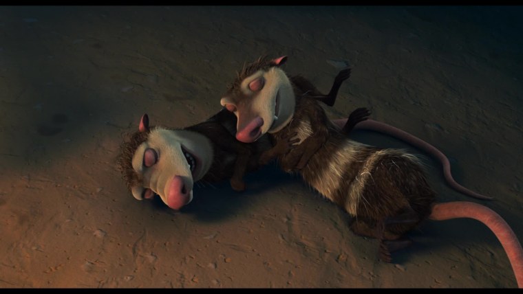 Опоссумы крэш и Эдди