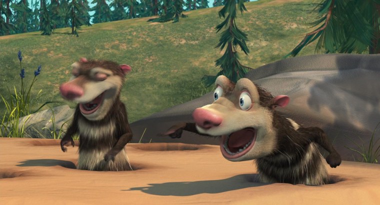 Опоссумы крэш и Эдди