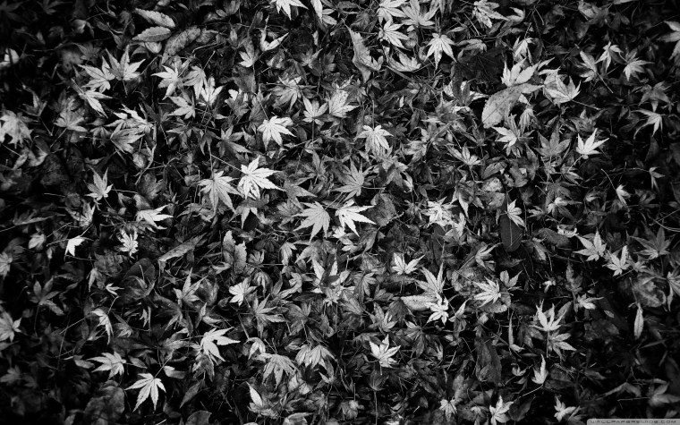 Абстрактные узоры