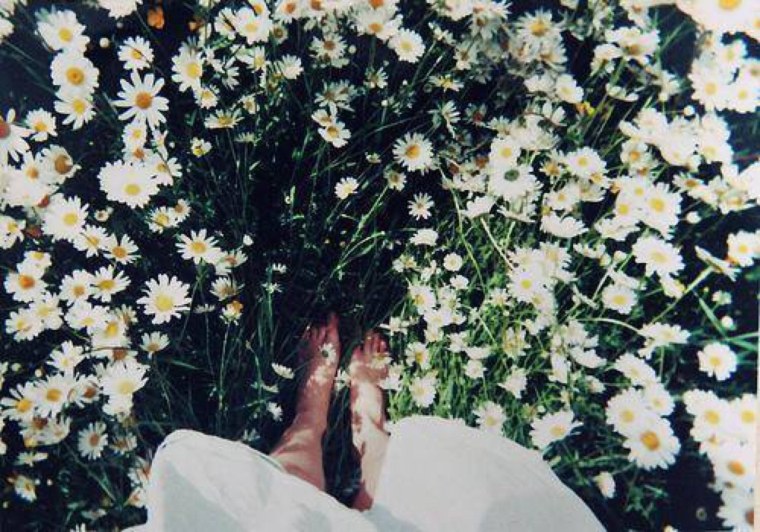 Девочка в ромашках