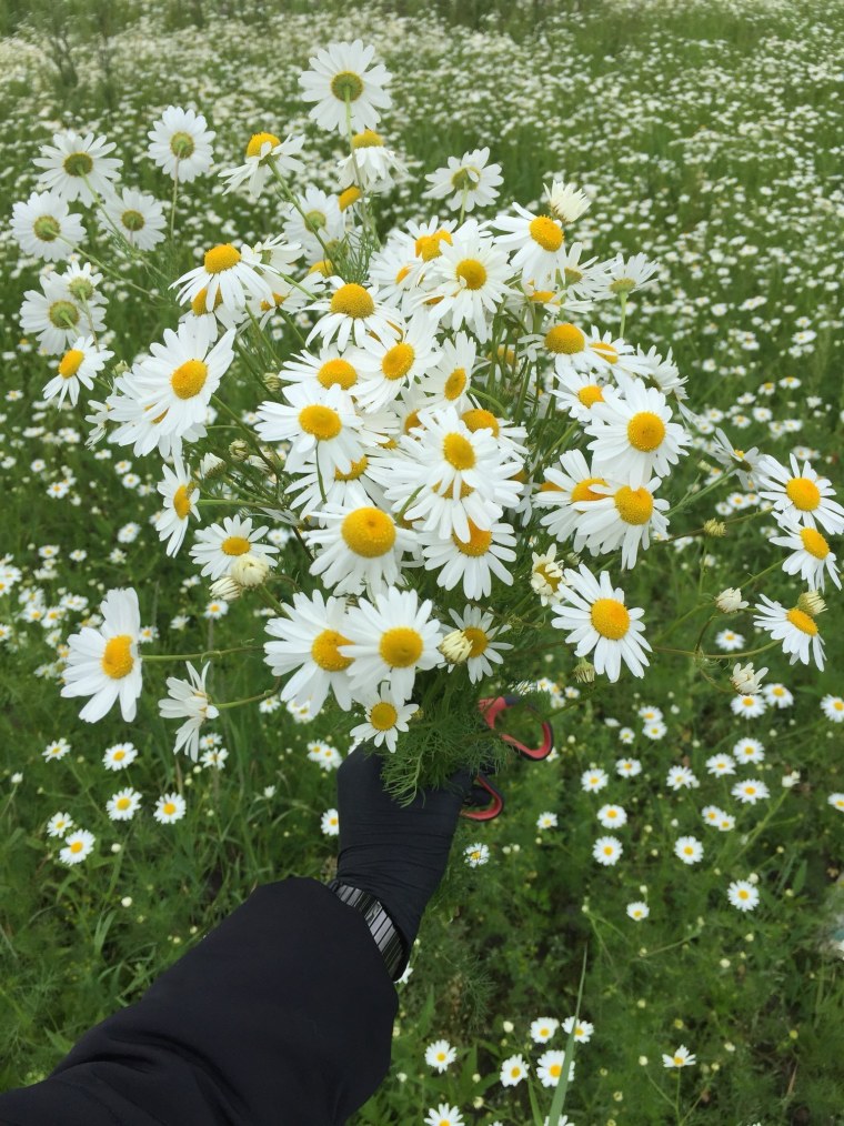 Девушка с ромашками